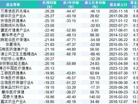 盘点2024普通股票基金黑榜：申万菱信医药先锋亏26%垫底 招商李佳存、鹏华金笑非管理产品上榜