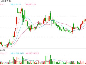 第四季度净利润转正！零跑汽车成第二家盈利新势力，2024年销量同比增长104%