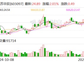 江苏华辰：2025年1月17日将召开2025年第一次临时股东大会