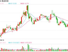 1亿台销量救不了雅迪