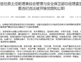 安徽省农信社原主任助理兼综合管理与安全保卫部总经理孟亚明严重违纪违法被开除党籍和公职