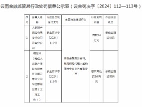 大家财险云南分公司被罚44万元：因编制虚假财务资料等