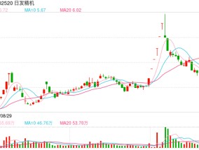 控股股东被立案 开盘一度跌停！日发精机回应