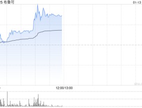 布鲁可早盘持续上涨超8% 多因素共同驱动公司持续增长