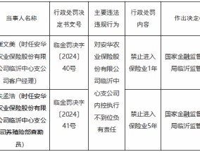 安华农险临沂中心支公司内控执行不到位 时任两名员工被禁业1-5年