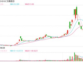 徐翔新消息！徐翔案终审判决：文峰股份承担连带赔偿责任