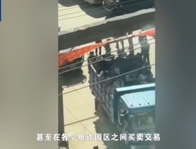 “园区里都是铁栏杆，到处都喷溅血迹”，缅北电诈更多犯罪细节曝光