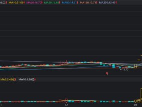 年内首个10连板股！多路活跃游资参与，近年连板高标盘点