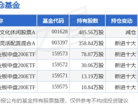 1月9日汤姆猫涨5.02%，招商体育文化休闲股票A基金重仓该股