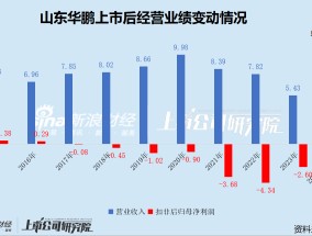 山东华鹏迎来至暗时刻：持续巨亏后净资产不足1亿 7.86亿债务逾期后 银行账户仅剩2万元又全被司法冻结