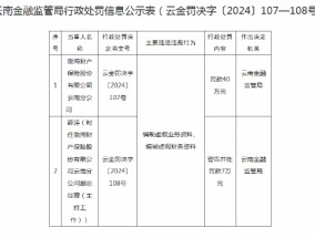 渤海财险云南分公司被罚40万元：因编制虚假资料