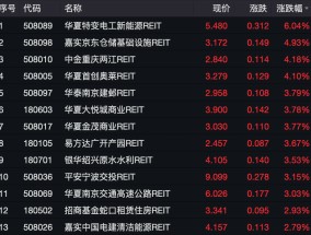 开门红！这类产品跨年人气旺：2025年开市仅两日，公募REITs板块几乎全线飘红，华夏首创奥莱REIT涨9.26%