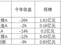 防守拉胯股票型基金全部惨淡收场，汇丰晋信百亿基金经理陆彬成了防守差代名词