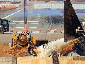 韩媒：韩国国土交通部首次确认，济州航空失事客机遭遇鸟击