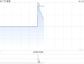 广汇宝信：1月15日下午1时正起复牌