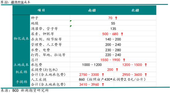 新湖农产（棉花）2025年报：不经一番寒彻骨，怎得梅花扑鼻香