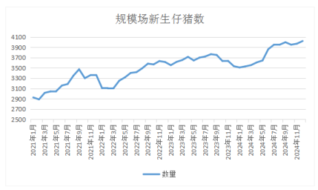 n次底背离，生猪底部还有效吗？