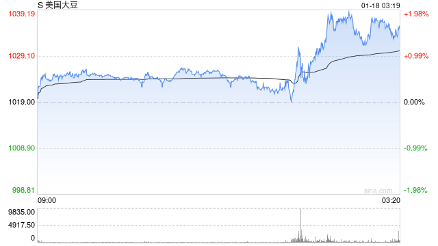 【USDA】1月报告：美豆单产下调超预期，南美大豆丰产压制美豆价格上行