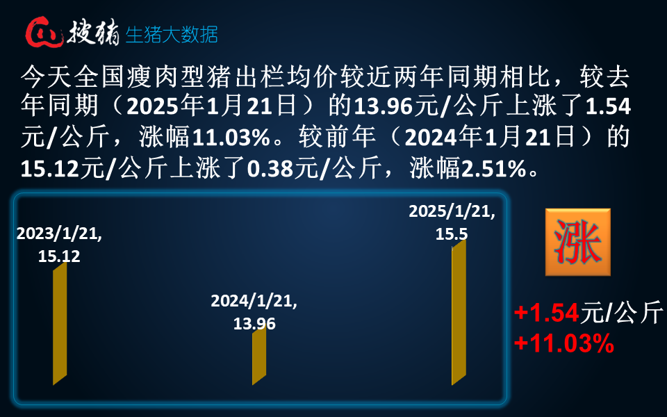 生猪现货日报|全国均价15.5元/公斤 生猪节前集中出栏 市场供过于求 猪价承压小幅下跌