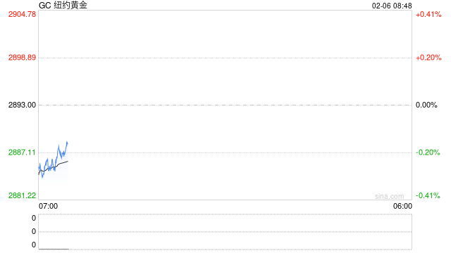 纽约期金涨穿2900美元创历史新高后回落，金银铜矿业股普涨