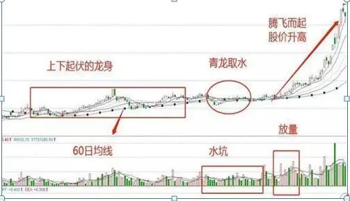 巴菲特点破A股市场：最具价值投资的7只行业龙头股名单一览，谁会是下一只“千倍股”?